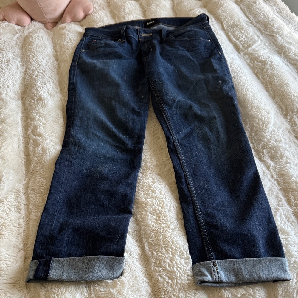 Dark Blue Hudson Denim Jeans